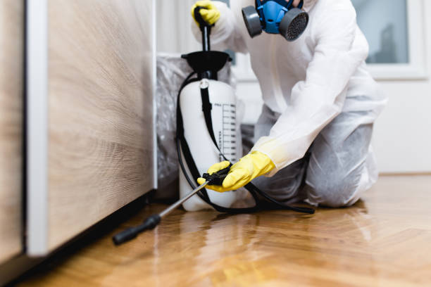Best Pest Control Near Me  in Warner, OK