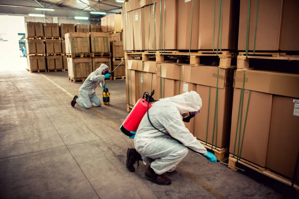 Best Local Pest Control Services  in Warner, OK