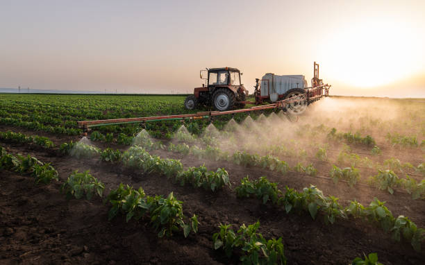 Best Pest Removal Services  in Warner, OK