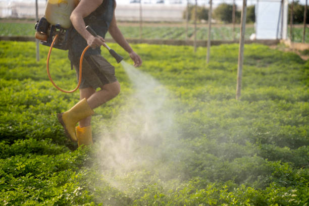 Best Local Pest Control Services  in Warner, OK