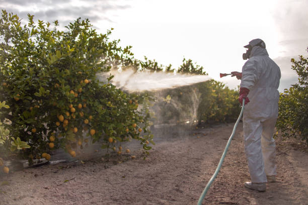 Best Insect Control  in Warner, OK