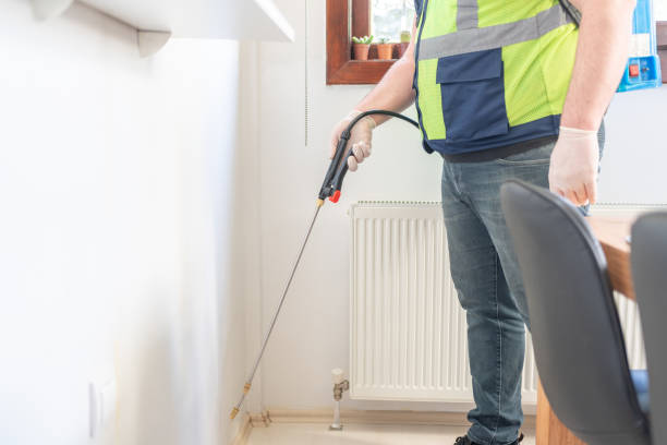 Best Ant Control Services  in Warner, OK