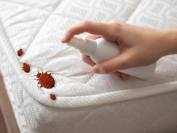 Best Pest Control for Restaurants  in Warner, OK