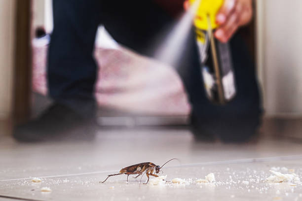 Best Termite Control Services  in Warner, OK