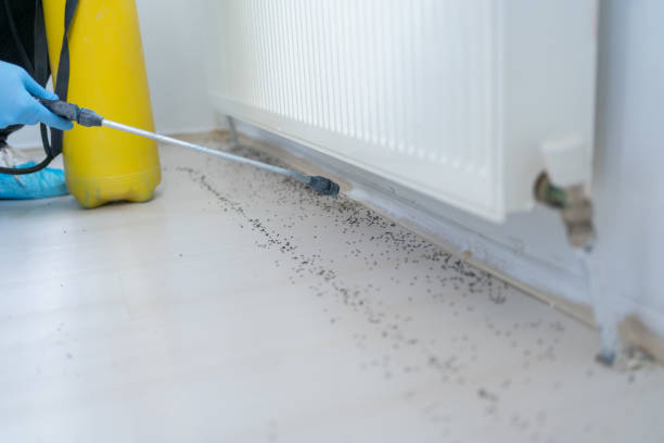 Best Wildlife Control Services  in Warner, OK