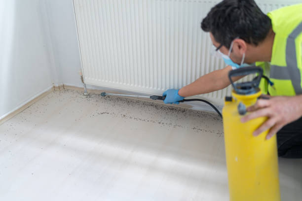 Best Best Pest Control Companies  in Warner, OK