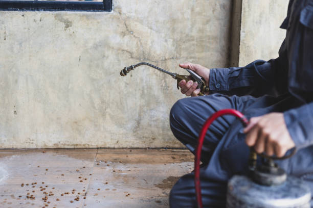 Pest Control for Restaurants in Warner, OK