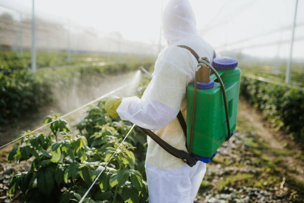 Best Pest Inspection Near Me  in Warner, OK